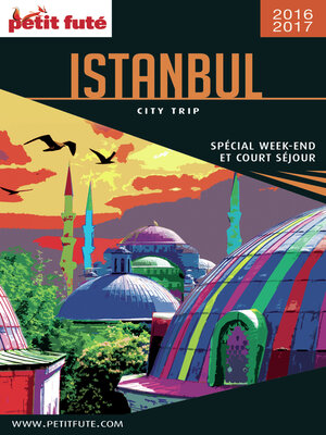 cover image of Istanbul City Trip 2016/2017 City trip Petit Futé